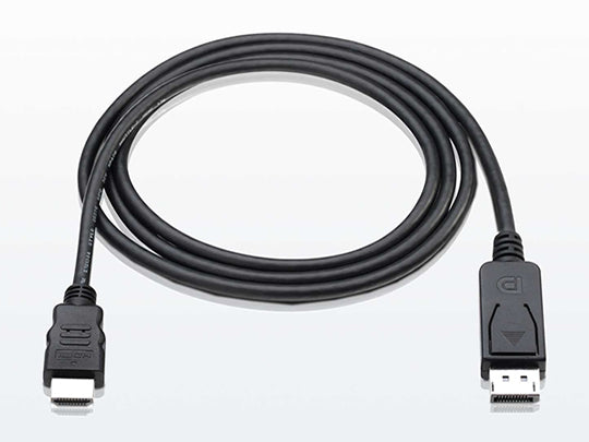 Epsilon 1M Display Port to HDMI Cable