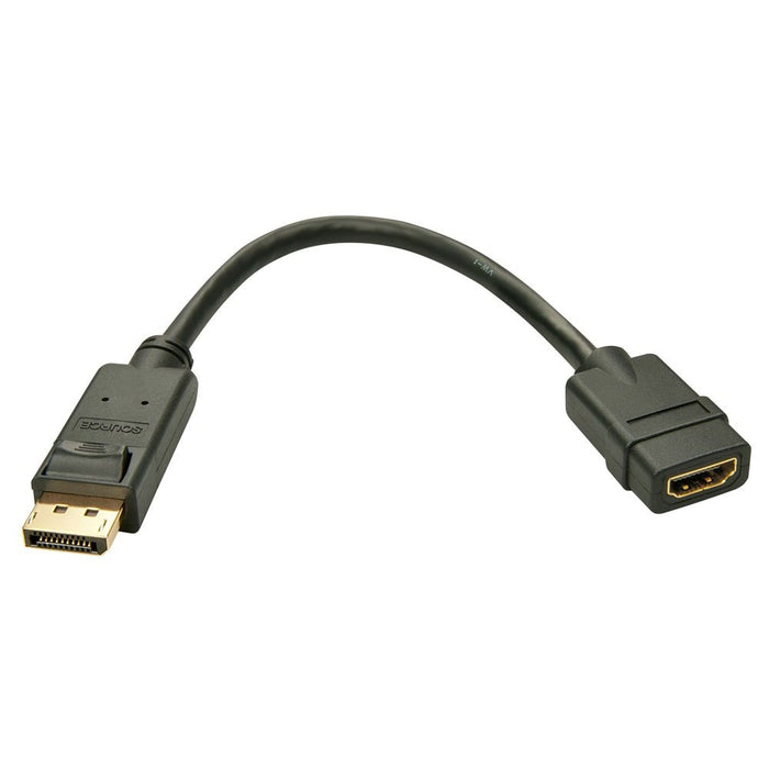 HDMI to DisplayPort Video Adapter Converter